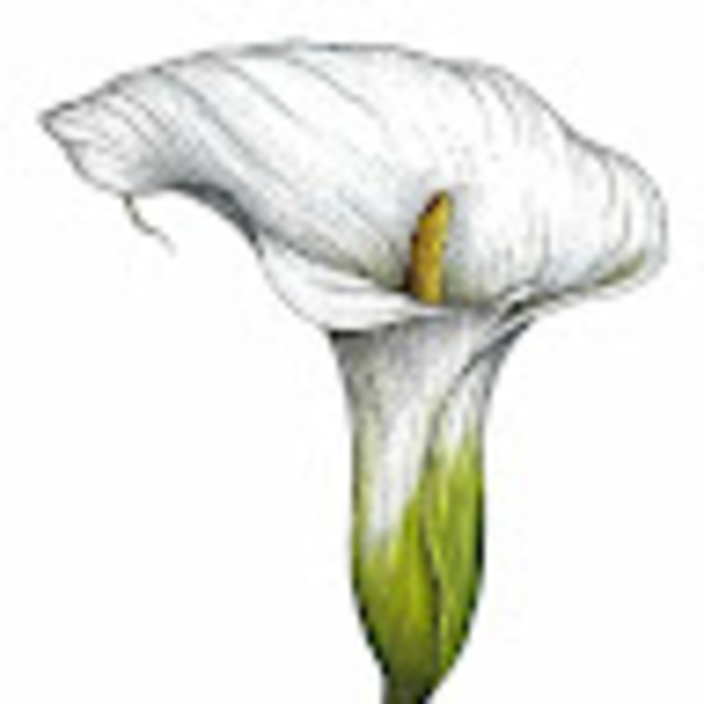 Meet your Posher, Flowers